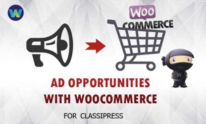 Ad Opportunities for ClassiPress